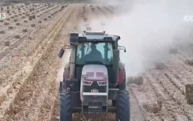 农产品质“升”量“高” 绿色种养循环农业保障农田可持续发展